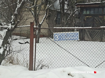 Источник: Алена Воропаева / Voronezh1.ru