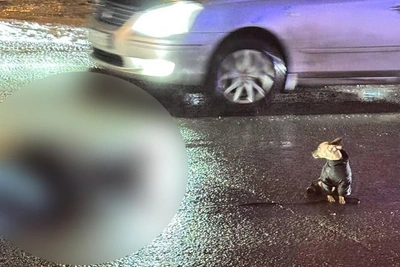 Дело о смертельном ДТП с Камазом передано в суд Новосибирска