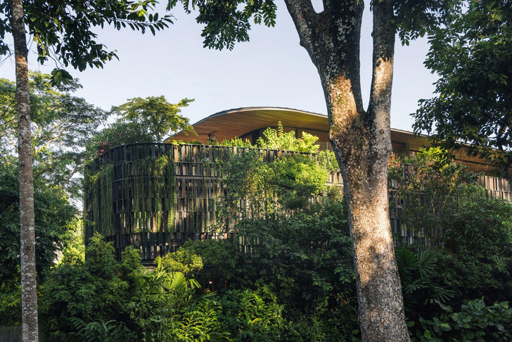Зеленый дом в Сингапуре: в гармонии с природой