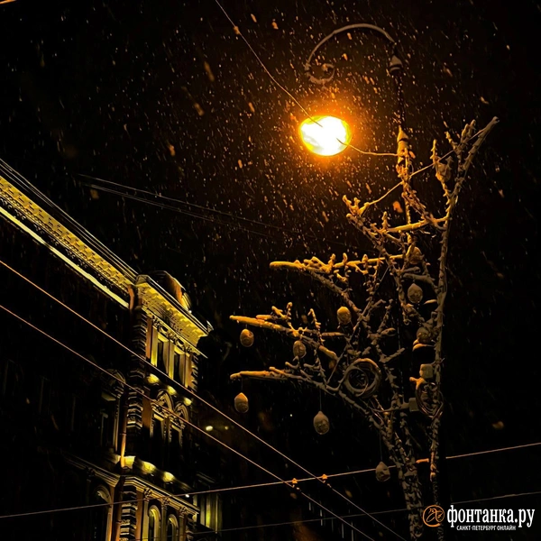 Источник: читатель «Фонтанки»