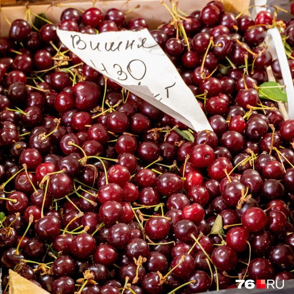 Кило вишни можно купить за 430 рублей | Источник: Кирилл Поверинов / 76.RU