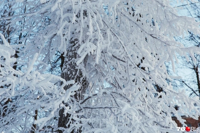 В Центральной России потепление сменится морозами