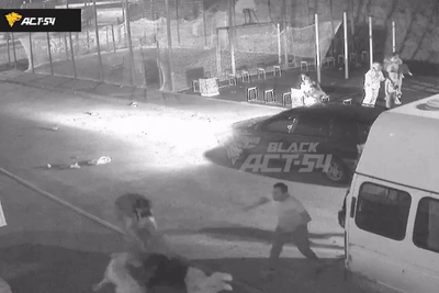 Собака покусала людей во дворе на Татьяны Снежиной