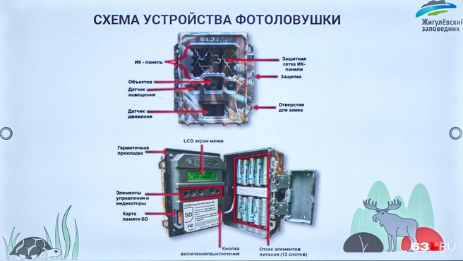 Так устроены современные фотоловушки | Источник: Роман Данилкин / 63.RU 