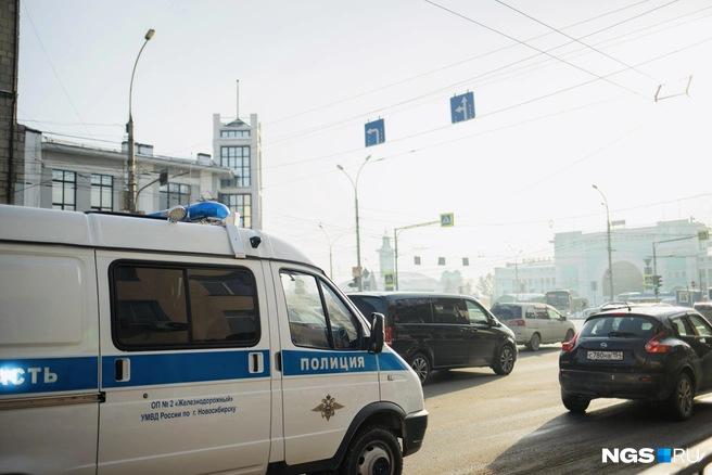 Сотрудников ППС в Новосибирске недостаточно | Источник: Алина Скитович / NGS.RU