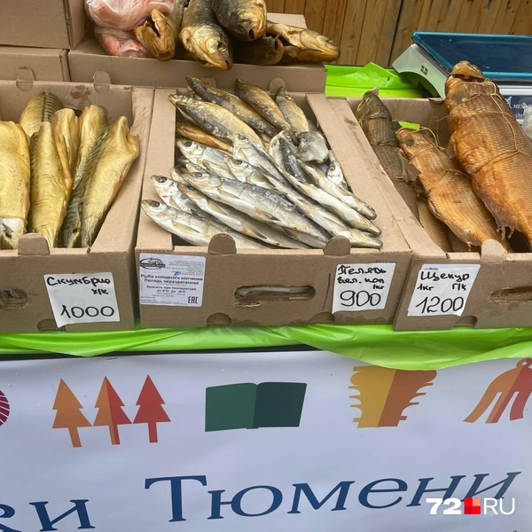 Источник: Радик Енчу / 72.RU