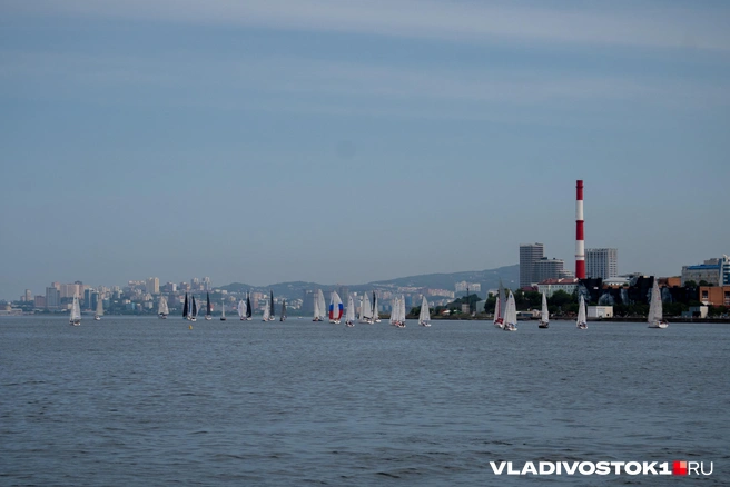 Источник: Елена Буйвол / VLADIVOSTOK1.RU