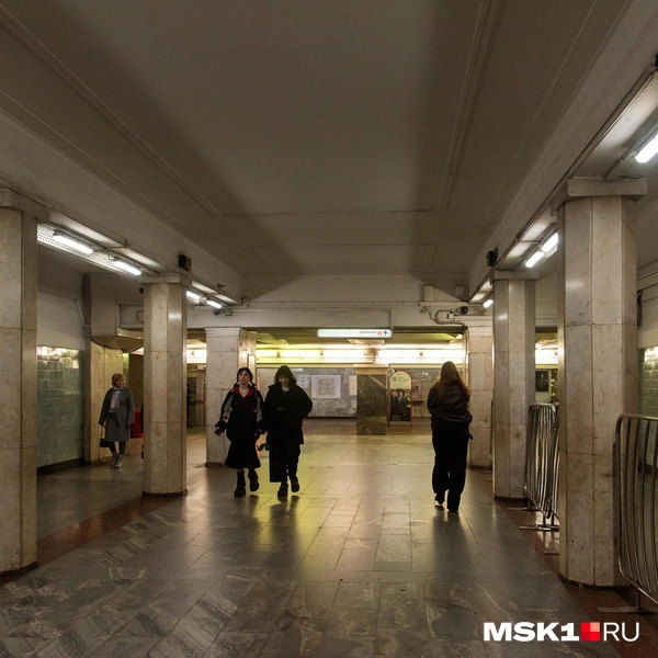 Источник: Дарья Шутова / MSK1.RU