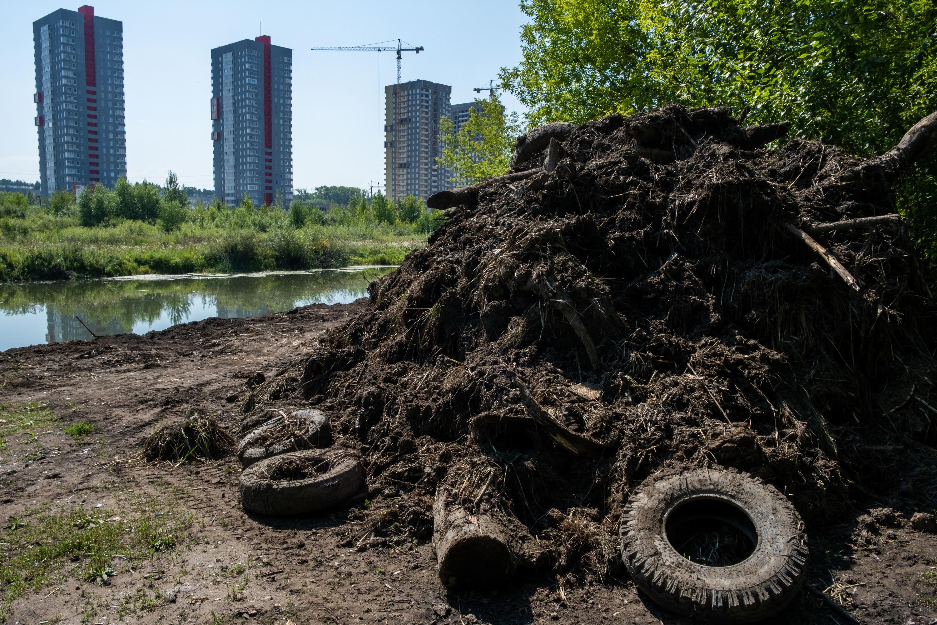 В Челябинске объявили конкурс на расчистку прибрежной зоны реки Миасса за  24 миллиона рублей 5 августа 2020 г - 5 августа 2020 - 74.ру