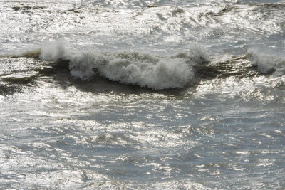 Sochi Police Find Father Forcing Children into Cold Sea