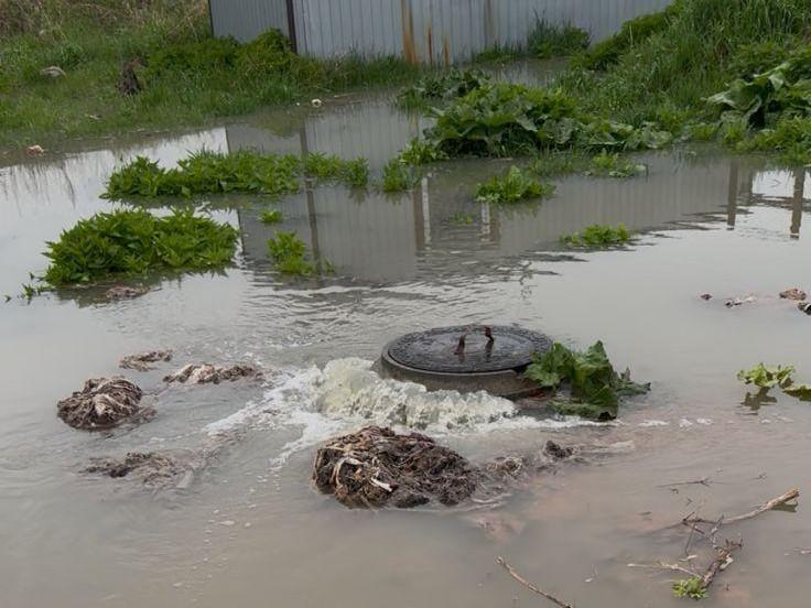«Вся рыба сдохнет». Из-за прорыва коллектора в Шершневское водохранилище хлынула канализация (видео)