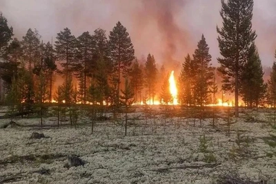 Борьба с пожарами в ЯНАО: более 50 очагов в труднодоступной местности