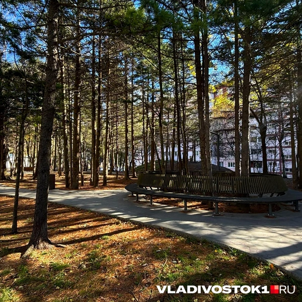 Источник: Елена Буйвол / VLADIVOSTOK1.RU