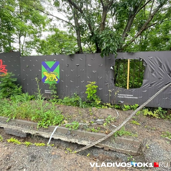 Источник: Елена Буйвол / VLADIVOSTOK1.RU