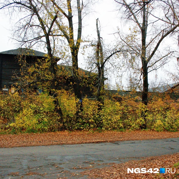 Источник: Татьяна Ирискина / NGS42.RU