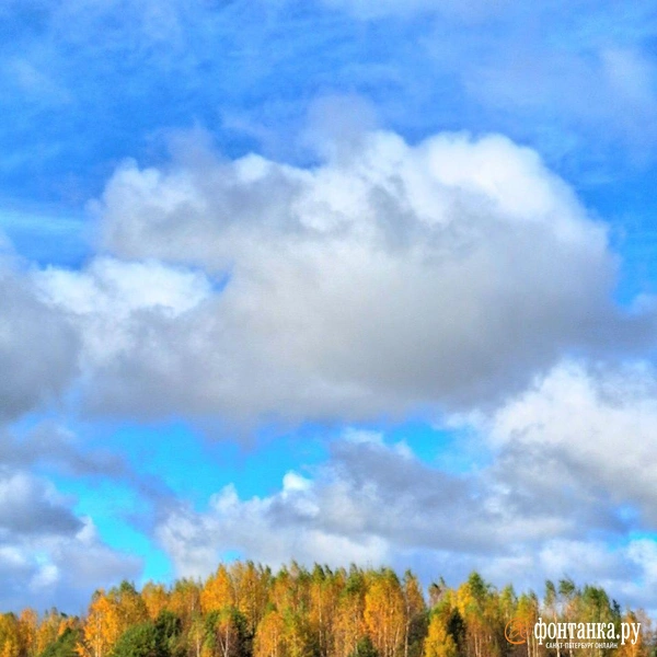 Источник: читатель «Фонтанки»