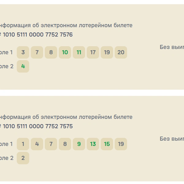 Источник: nloto.ru