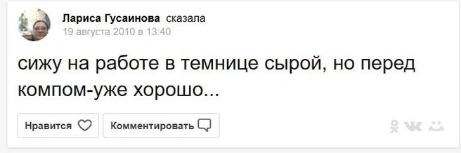 Вот так Лариса описала свою работу | Источник: Лариса Гусаинова / mail.ru