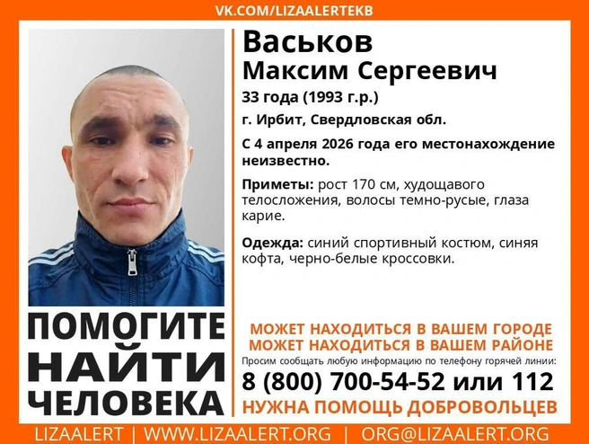 Источник: «ЛизаАлерт» Свердловской области