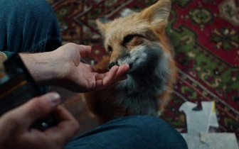 Зверь в человечьей шкуре: где снимали сериал «Как приручить лису»