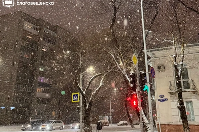 В Благовещенске вводят режим повышенной готовности