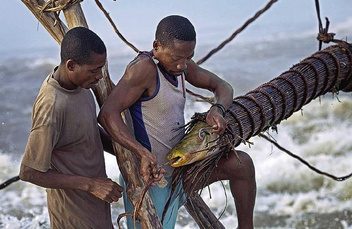 Творенья генья: как небольшое африканское племя придумало уникальный способ ловли рыбы