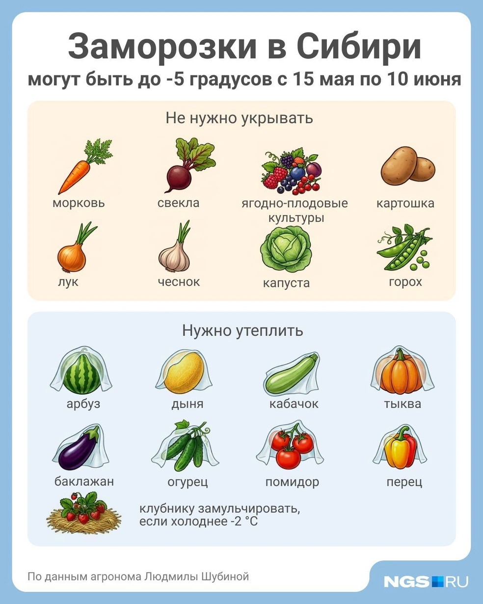 Источник: Юрий Орлов / Городские медиа