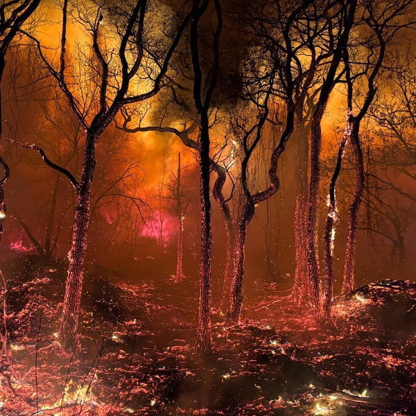 Финалист в номинации «Пейзаж» | Источник: Jason Mirandi / Nature Photographer of the Year 2025