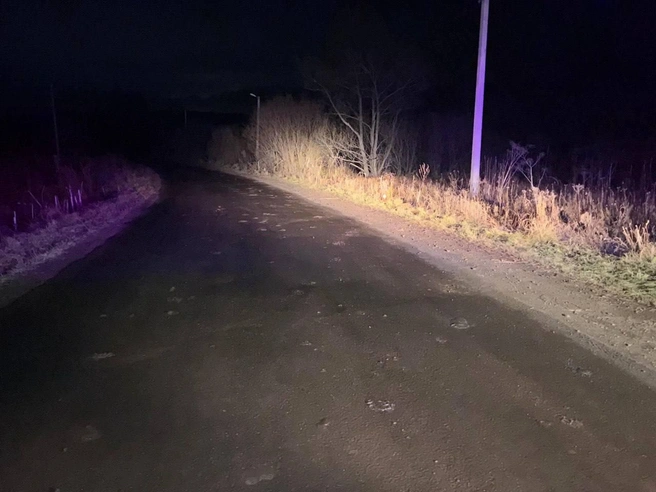 Катаясь на мотоцикле, юноша не справился с управлением | Источник: пресс-служба МВД по Республике Алтай