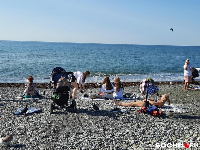 На пляжах полно загорающих | Источник: Анна Грицевич / Sochi.RU