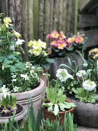 9 вещей, которые нужно сделать в саду весной — советы эксперта