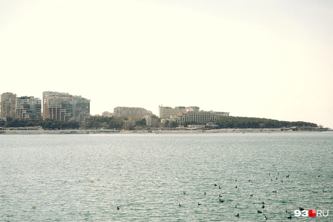 Миллионы туристов приезжают на Черное море каждое лето, но жертвой чудовищ никто не стал | Источник: Дарья Паращенко / 93.RU