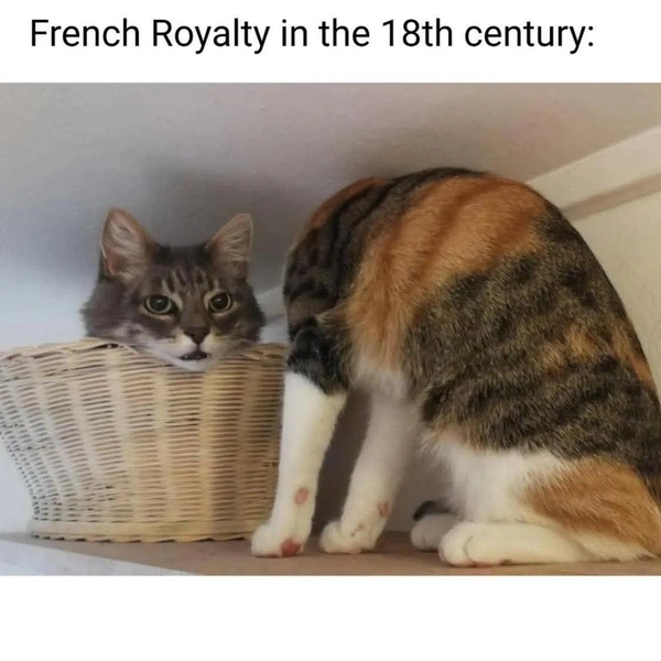 Французская знать в XVIII веке | Источник: Соцсети