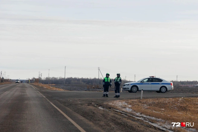 Источник: Ирина Шарова / 72.RU