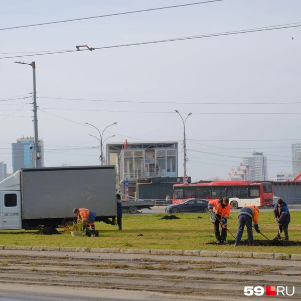 Рабочие выравнивают землю | Источник: Тимофей Калмаков / 59.RU