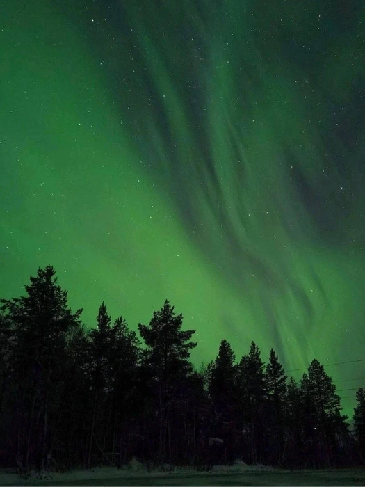 Источник: «МегаТюмень» / T.me