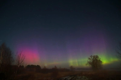 Зелено-фиолетовое сияние над Омской областью