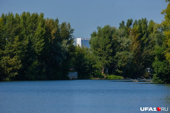 На фоне виднеется Затон | Источник: Булат Салихов / UFA1.RU