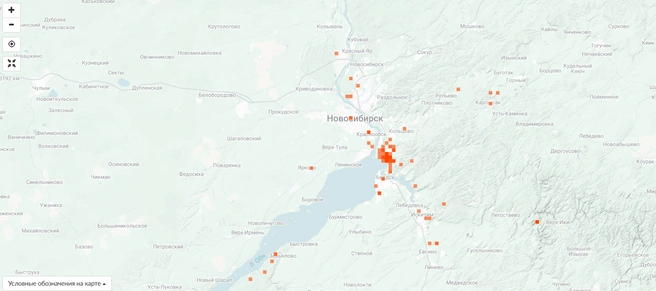 Маслята любят повышенную влажность | Источник: inaturalist.org