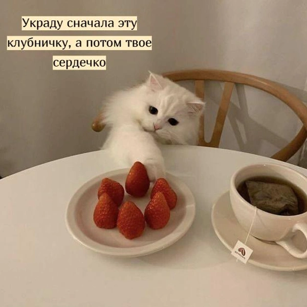 Источник: Социальные сети