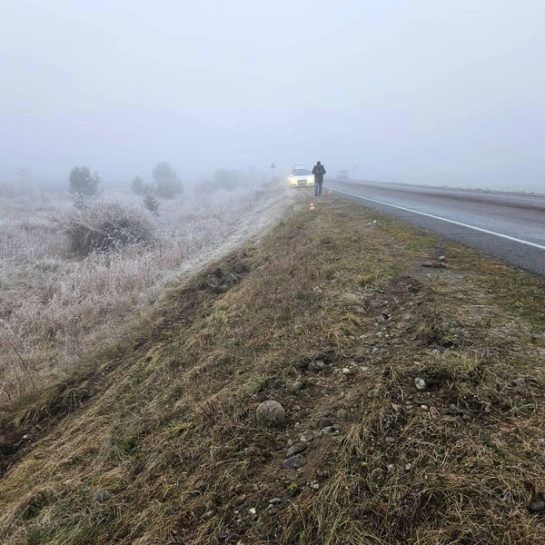 Источник: прокуратура Красноярского края