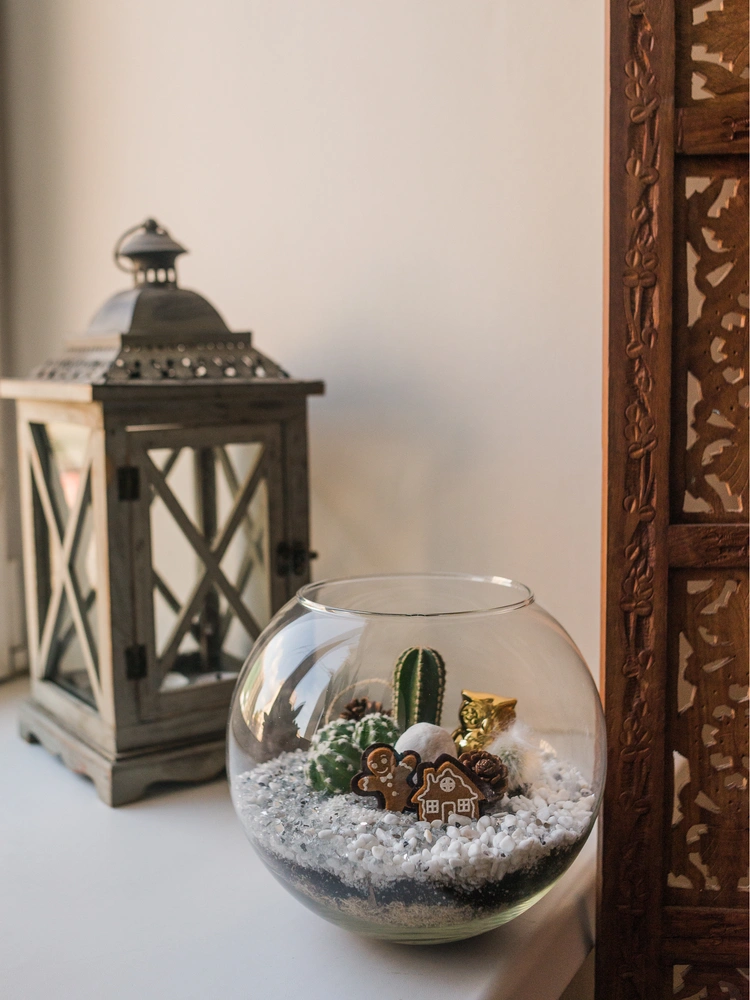 Как сделать зимний флорариум своими руками (фото 0) | Источник: planty.ru