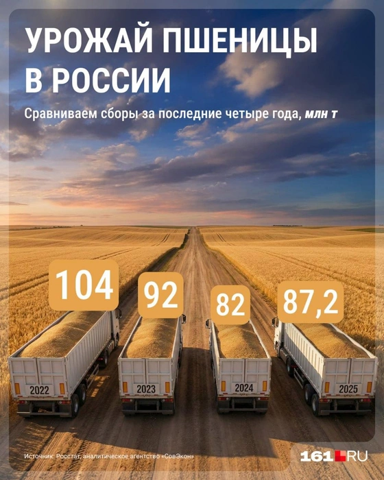 В стране наблюдается снижение производства пшеницы. Урожай этого сезона обусловлен не тенденцией, а рекордной урожайностью в Сибири и на Урале, считают аналитики | Источник: Серафима Пантыкина / Городские медиа