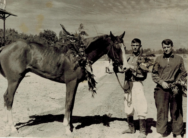 Победитель скачек 1958 года&nbsp;— конь Гибрид | Источник: Троицкий краеведческий музей
