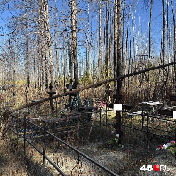 Источник: Кирилл Митин