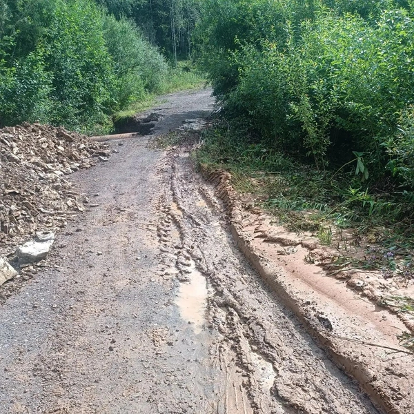 Источник: госинспектор Чусовского участка природного парка «Пермский» Л.&nbsp;В.&nbsp;Каменских