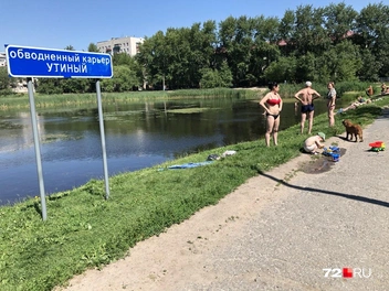Купаться в пруду запрещено: вода для этого непригодна | Источник: 72.RU