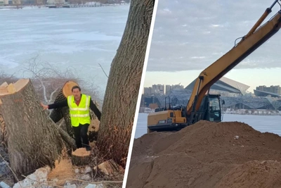 На берегу Кабана массово срубают многолетние ивы