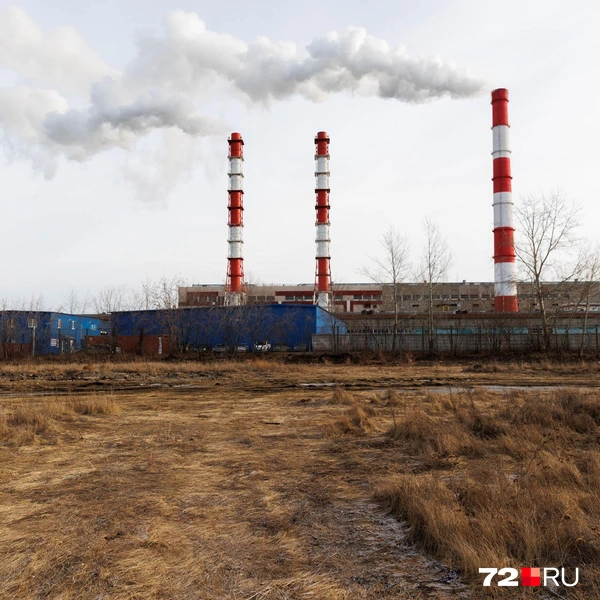 Источник: Ирина Шарова / 72.RU