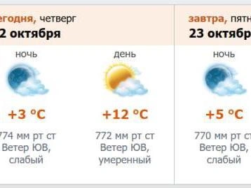 Источник: скриншот с meteo.nw.ru